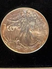 2014 American Eagle Silver Dollar / 1 oz .999 Silver / W Display