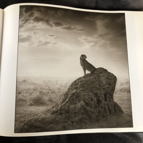 Nick Brandt A Shadow Falls Tritone Photographs Large Format Africa Animals HC DJ - Bild 4 von 8