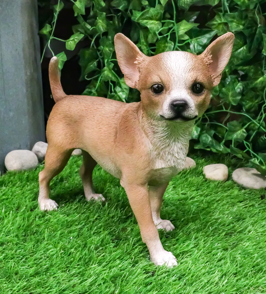 Deer hotsell chihuahua puppies