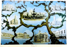 Bowling Green Kentucky Landmarks Art Print Artist Signed THE GROWING TREE