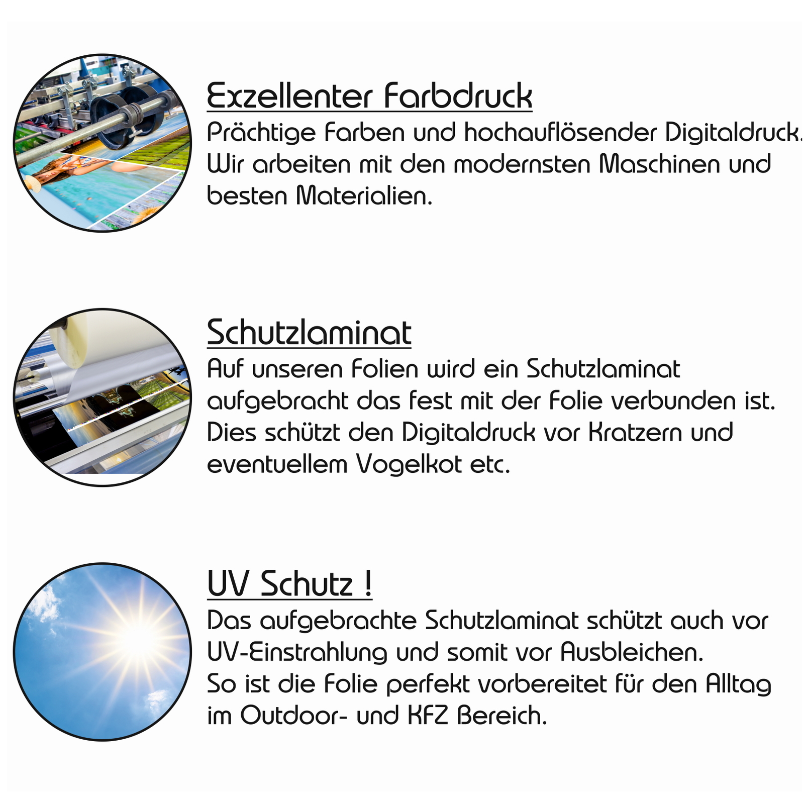 Bild 7 von 7