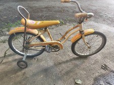 eBay Auction Picture