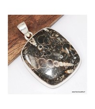 Gros Pendentif argent Jaspe Tortue - Turtella TW33.1