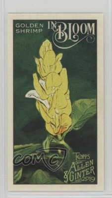 2019 Topps Allen & Ginter In Bloom Minis Golden Shrimp #IB-13 2k3
