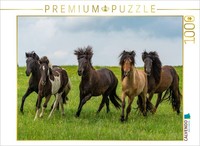 Calvendo Puzzle The Stallions Frolic Exuberantly In The Pasture. | 1000 Pieces,