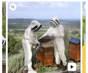 Flow Hive Bee Suit And Gloves SzXL