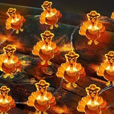  Timer Fall Thanksgiving Turkey Lights Decorations, 10FT 30LED Warm White