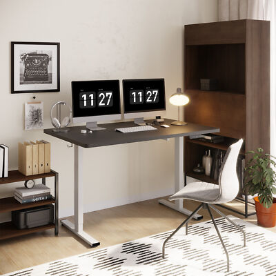 FlexiSpot 40''/48''/55''/60''Height Adjustable Standing Desk with Hooks, Gray Frame