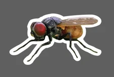 Fly Sticker Realistic Insect Waterproof Animal Realistic Gift NEW