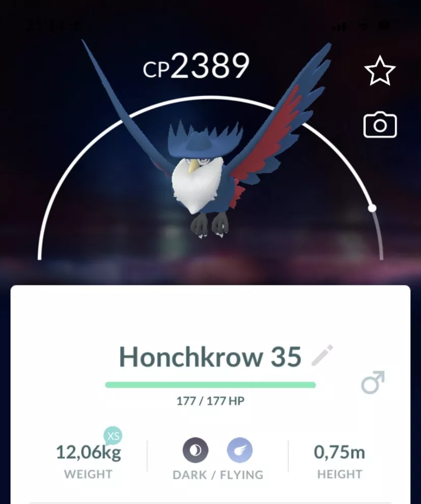 Can Murkrow be Shiny in Pokemon GO?