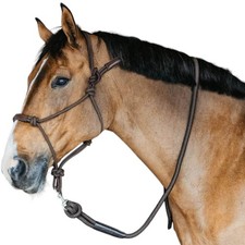 Dy´on Braun Cob Trainingshalfter Halfter Knotenhalfter