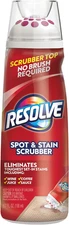 ® Carpet Spot & Stain Scrubber 6.7 Oz.