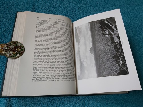 The Birds of Scotland, 2 x vol set, Baxter & Rintoul, 1953 1st Ed, Oliver & Boyd - Bild 20 von 24