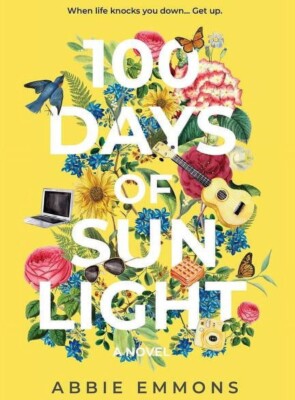 100 Days of Sunlight by Abbie Emmons (2019, Trade Paperback)