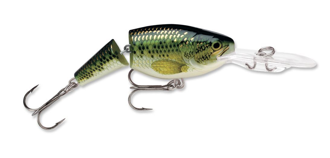 Rapala Jointed Shad Rap 07 - Baby Bass - 2 3/4" - 7/16 oz Lure | eBay Rapala Jointed Shad Rap 07 - Baby Bass - 2 3/4" - 7/16 oz Lure | eBay