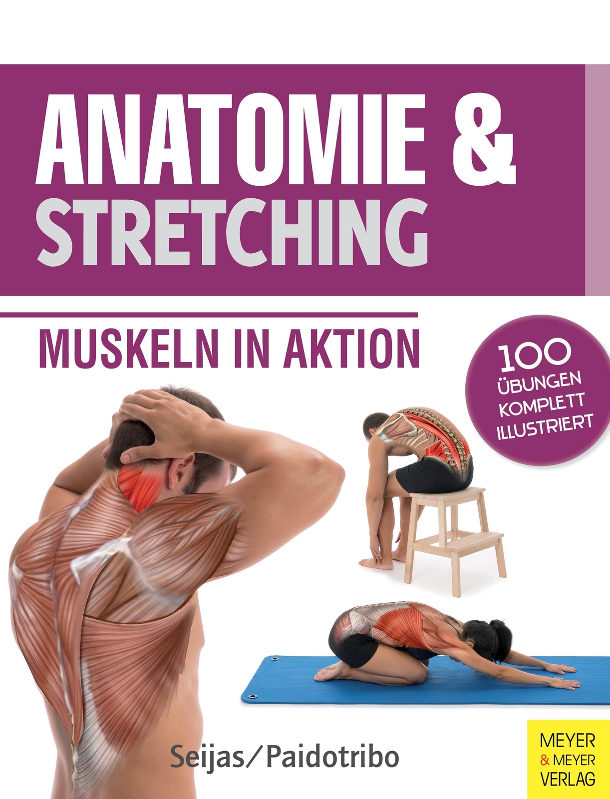 Thumbnail - Anatomie & Stretching (anatomie & Sport, Band 2) Guilermo ...