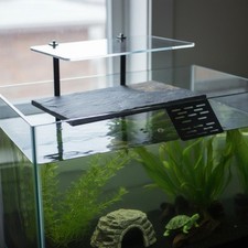 H&auml;ngende Schildkr&ouml;tenplattform Naturstein-Optik Schildkr&ouml;ten- Sonnenplatz