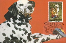 ROMANIA 1981: DOG, maximum card - registered shipping!