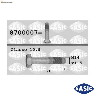 RIEMENSCHEIBENSCHRAUBE 8700007 FÜR PEUGEOT RANCH/MPV/Box/Body/MPV 207/207+ J5