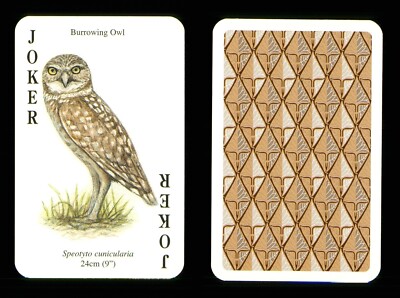 1 x Joker playing card single card Birds of Prey Burrowing Owl   ZU 01
