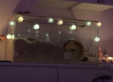 Nagarium inkl. Zubehör 