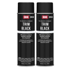 Sem Trim Paint Trim Black Aerosol 12 Oz. Can 2 Pack 39143