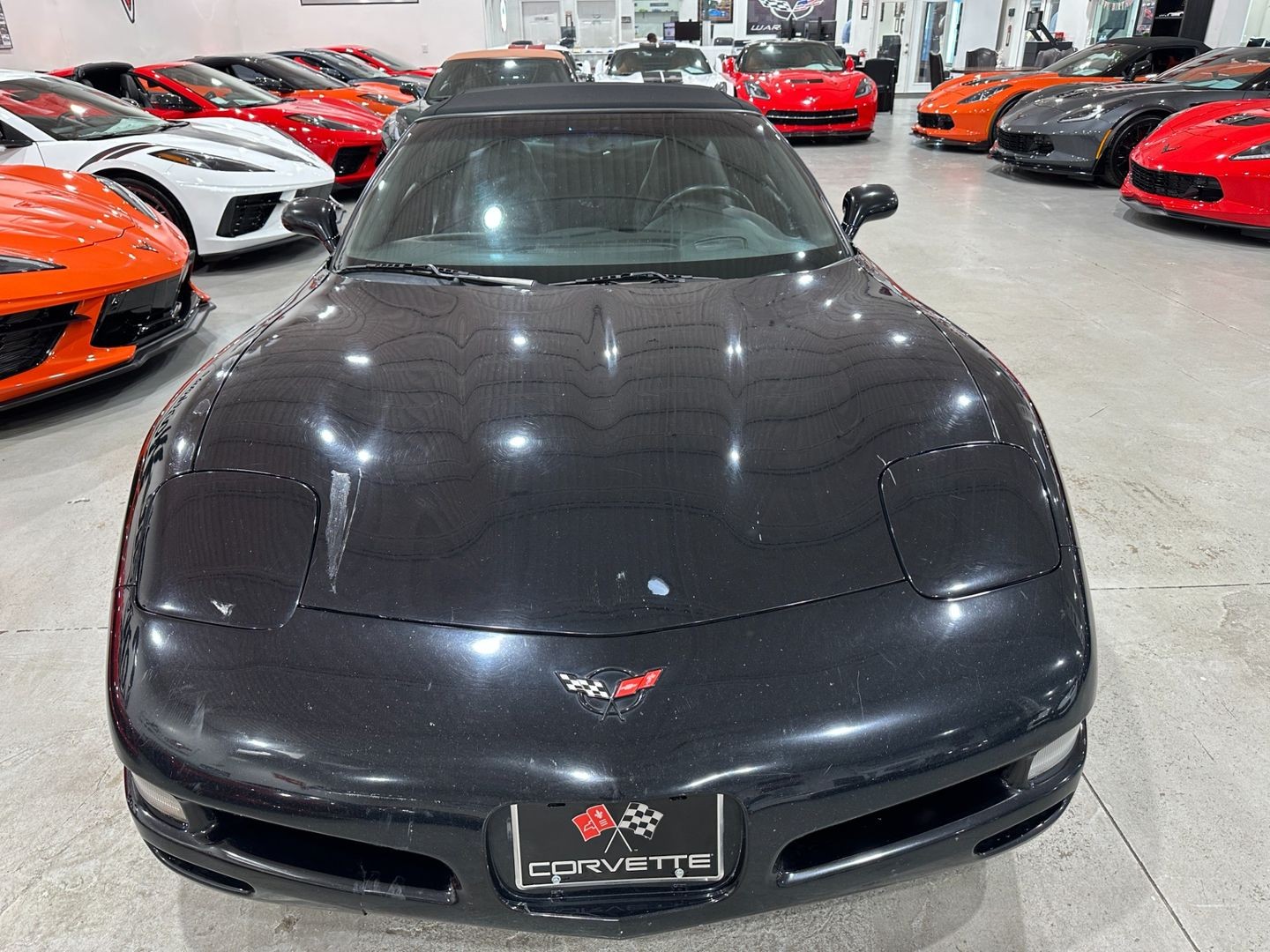 2004 [41U] Black Chevrolet Corvette   | C5 Corvette Photo 8
