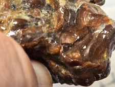 2.35 Ounce Deer Creek Fire Agate High Grade Rough Lot #01 Professionally Graded 