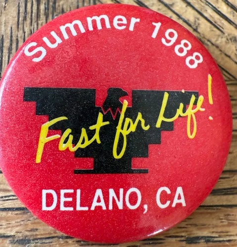 UFW United Farm Workers Chavez  1988 Fast For Life Delano CA  Pin Button Pinback