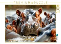 Calvendo Puzzle Socializing In The Water | 1000 Pieces, Finished Size 25.2 × 18.