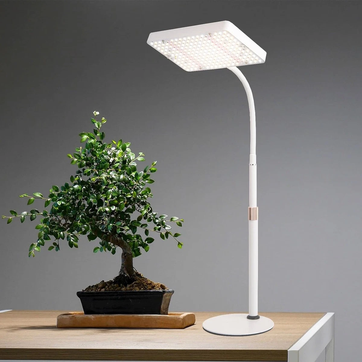 JINHONGTO Grow Light 208pcs LEDs IR UV Included Desk Grow Light Height and for