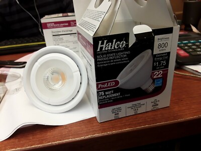 Halco ProLed 75W Par30S 800 Brightness