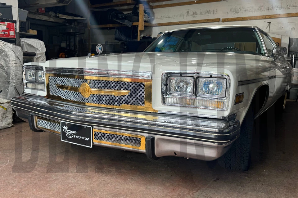 Buick Electra 1976 parrilla cromada chapada en oro malla de doble tejido rejilla Tiarra 3 piezas Foto 2 de 4