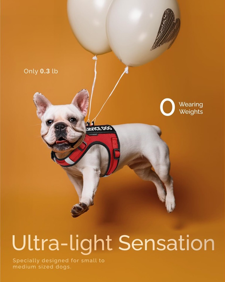 Emotional Support Dog Vest FAYOGOO Service Dog Vest Breathable