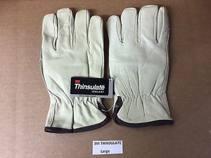 thinsulate insulation 100 gram