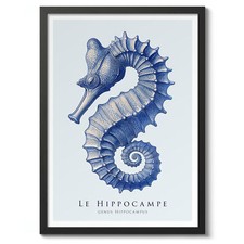 Seahorse, Nature Illustration Print, Poster Wall Art Decor, Sea Life Gift