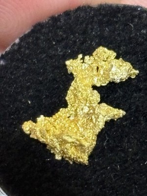 Agua Fria California Gold Nugget Natural Crystalized Mineral Specimen 1.24g