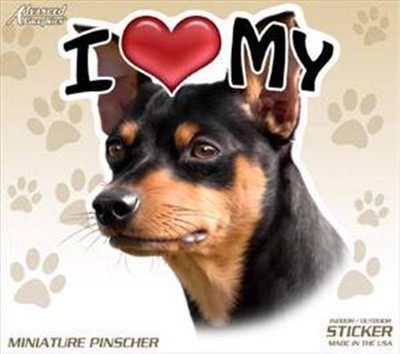 i love my min pin