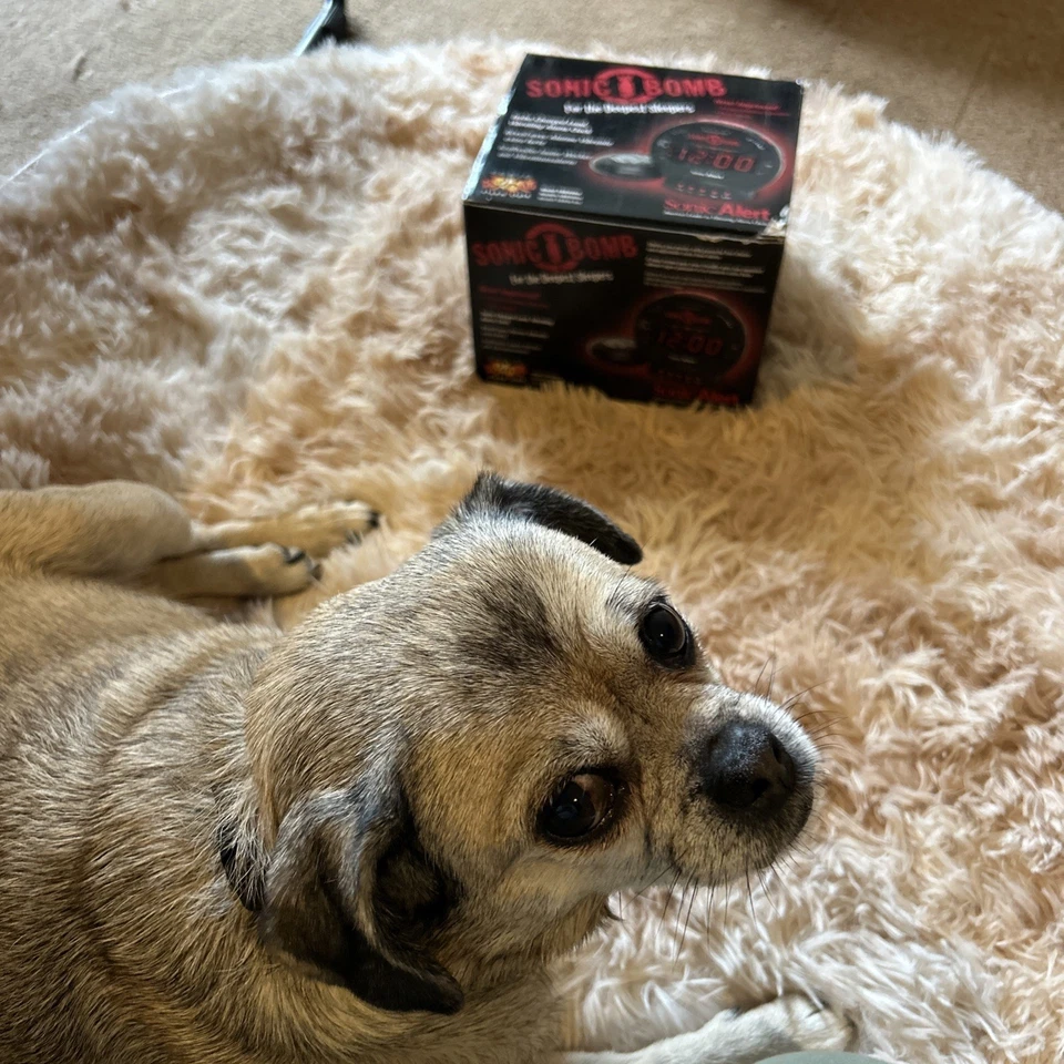 Sonic Bomb Alarm Clock with Bed Shaker For the Deepest Sleepers - Image 4 of 4