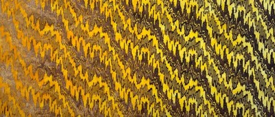 1 Yard Cut of Lunn Fabric Diagonal Ikat Ombre Batik 100% Cotton 2717 Gold Brown