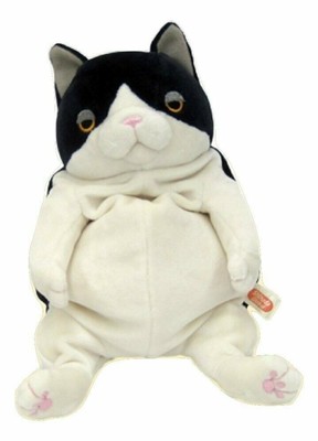 mochineko cat