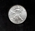 2013 American Silver Eagle Uncirculated .999 Fine Silver - GREAT INVESTMENT!