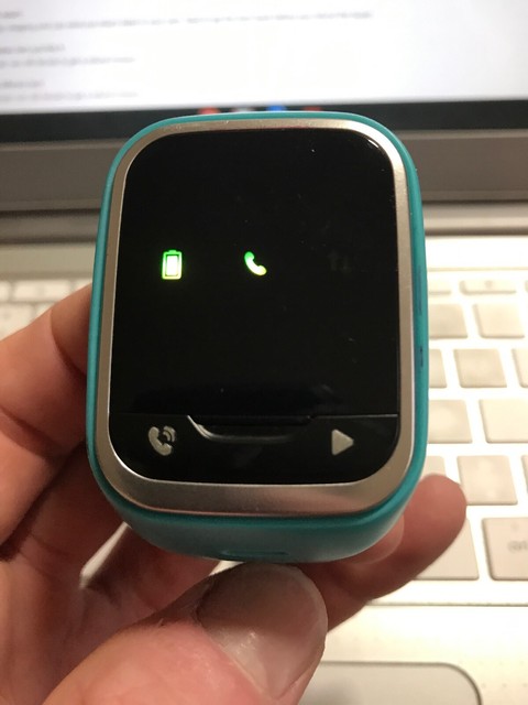 ebay gizmo gadget band