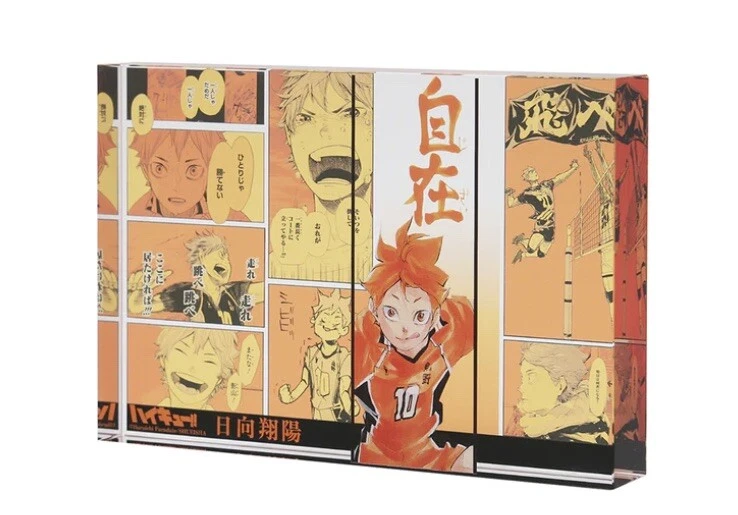 Haikyuu Ends Hinata Shoyo's Journey After 8 Years