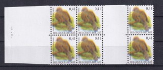 [TM14251] Belgium N°3135 Cu (misprint) Buzin Birds MNH SUPERB