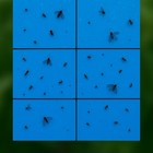 Bild 27 von 36