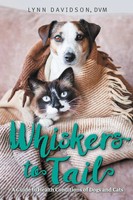 Lynn Davidson | Whiskers To Tail | Taschenbuch | Englisch (2024) | Friesenpress