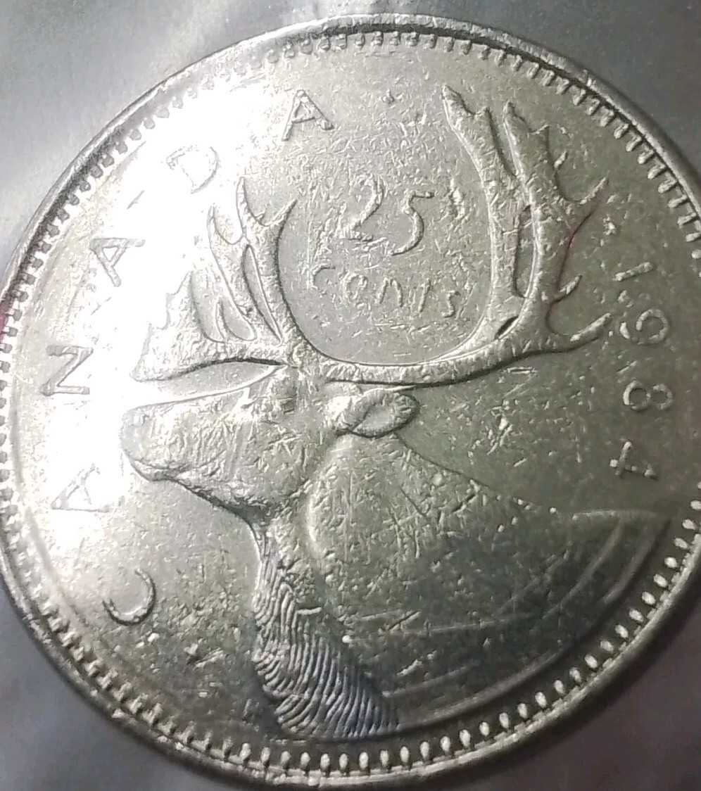 Picture 2 of 5