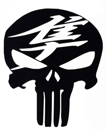 PUNISHER KANJI HAYABUSA MOTOCICLETA CALAVERA CALCOMANÍA PEGATINA  - Imagen 1 de 12