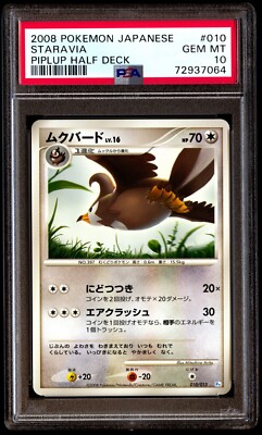 Buy Staravia 010/015 DPt Gift Box (Piplup) Regular (Japanese